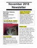Nov Newsletter 2018 Scan