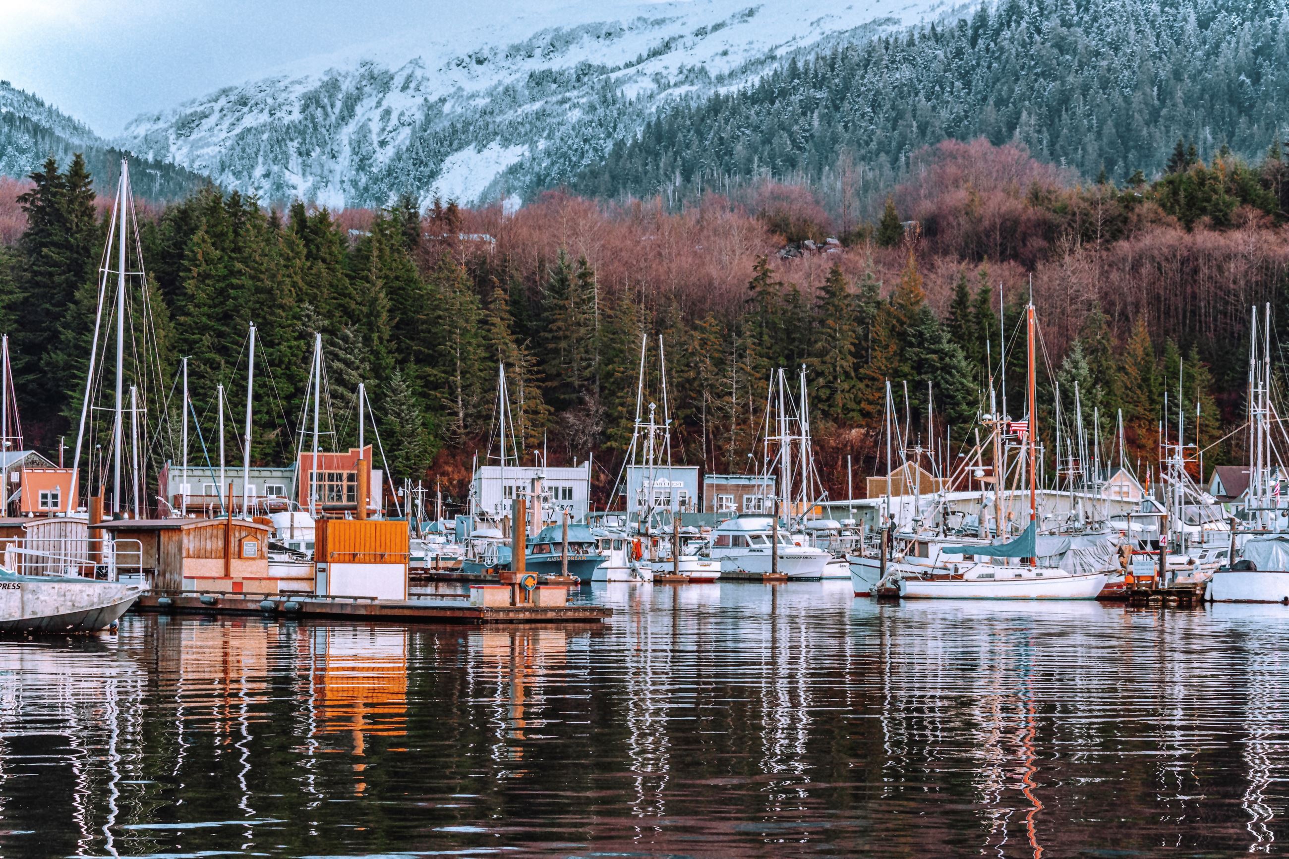 Katherine Naranjo - Boats in Bar Harbor